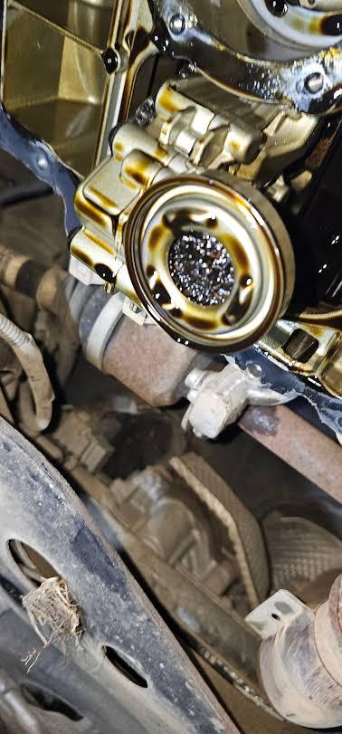 Crépine déposée sous un 1.2 PureTech, tamis couvert de paillettes métalliques